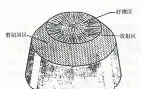 8 8